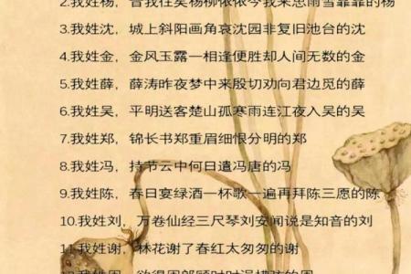 度最具创意的起名灵感