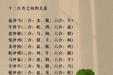 生肖之最：揭秘哪个生肖最厉害