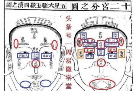 大巴大六爻排盘系统的深度解析，你不可不知的命运密码