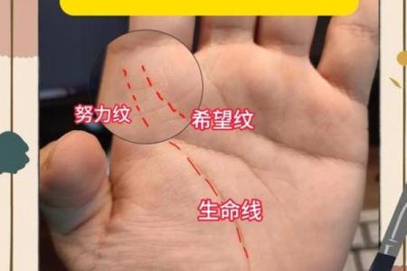手相揭秘：一秒钟看穿你的实际年龄
