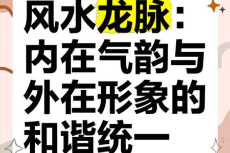 脉气流转，风水秘境：揭秘家居布局的神奇力量