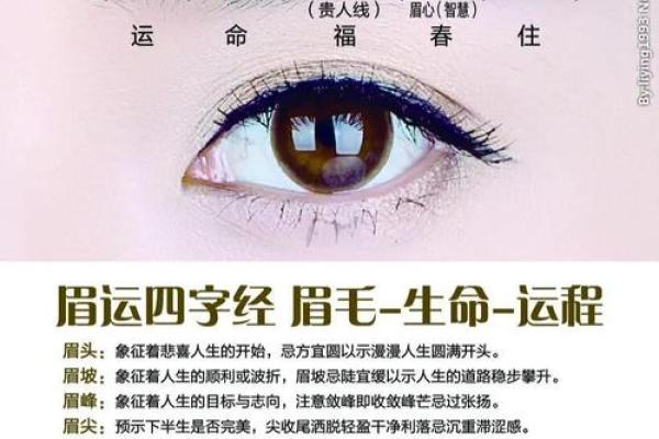 从五行金字看命运：让金属性字助你一臂之力