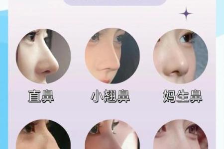 揭秘驼峰鼻背后的命运密码：面相大师带你探寻人生轨迹