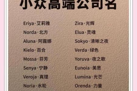 全球市场中的名字战略：如何为国际网络公司命名