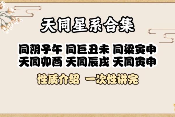 命犯天神：揭秘命运与天意之间的神秘关系