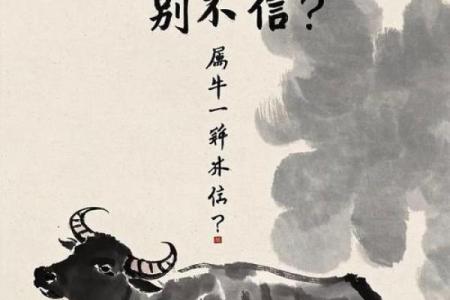 生肖轮回，老黄牛精神再续辉煌