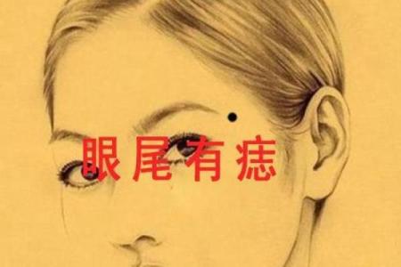 麻衣相殿部长痣揭秘：命运之痣还是瑕疵？