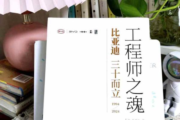 重妻之谜：揭秘女命中的神秘力量