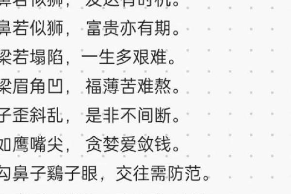猫咪嘴型揭秘：面相大师教你如何一眼识人