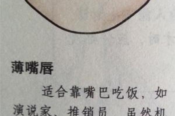 猫咪嘴型揭秘：面相大师教你如何一眼识人