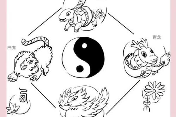 龙属于五行中的哪一行？揭秘神秘的五行之谜