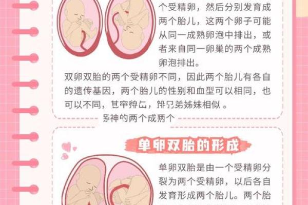 生双胞胎的八字解析
