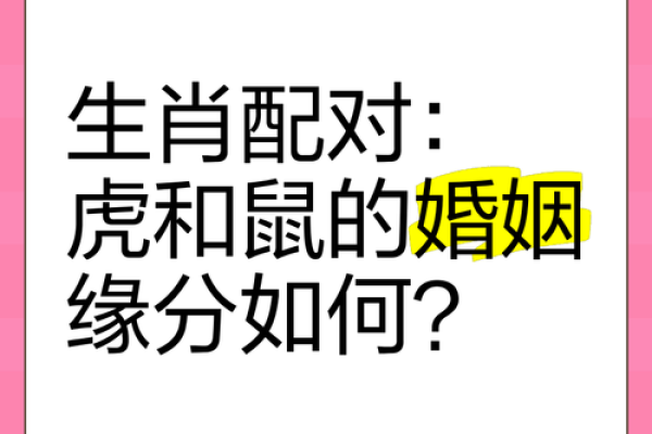 鼠女配牛男，幸福指数飙升？揭秘婚姻相性奥秘