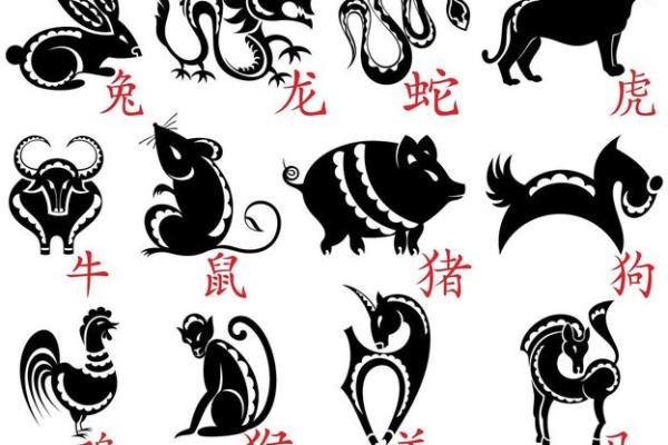 探秘生肖之谜：揭秘属员大揭秘