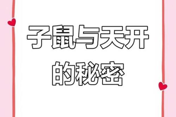 探秘生肖之谜：揭秘属员大揭秘