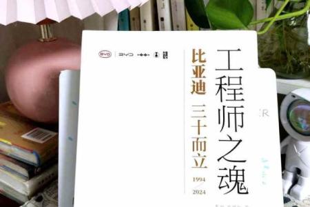 重妻之谜：揭秘女命中的神秘力量