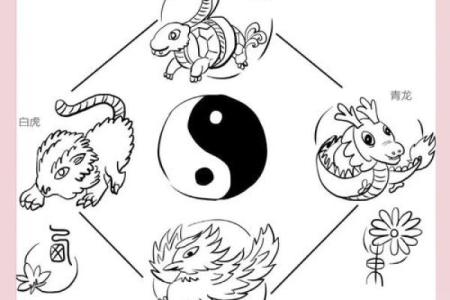 龙属于五行中的哪一行？揭秘神秘的五行之谜