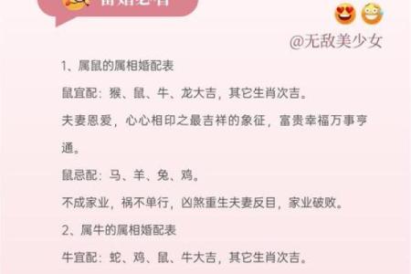 羊猪缘，揭秘生肖配对之谜
