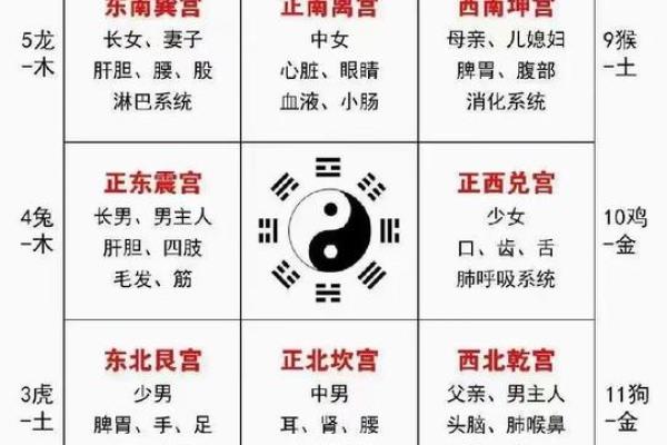 如何查天运五行属什么？完整查询指南