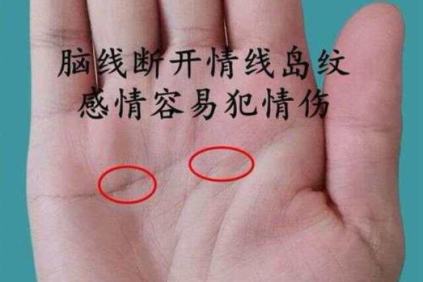 揭秘手相中的神秘信号：无名指青筋透露的健康秘密