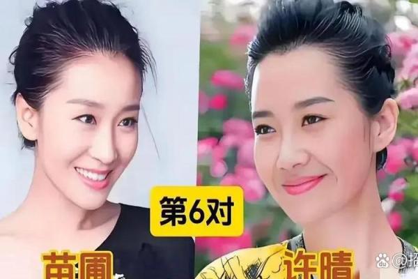 刘丹李钰面相揭秘：揭秘明星面相中的奥秘与智慧