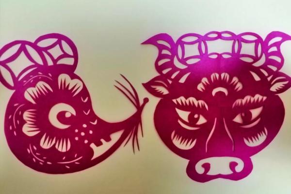 材子风华：揭秘生肖材的独特魅力