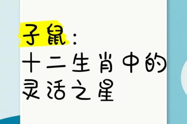 材子风华：揭秘生肖材的独特魅力