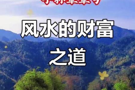 坐酉向卯，财运亨通揭秘风水布局的秘密