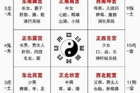 如何查天运五行属什么？完整查询指南