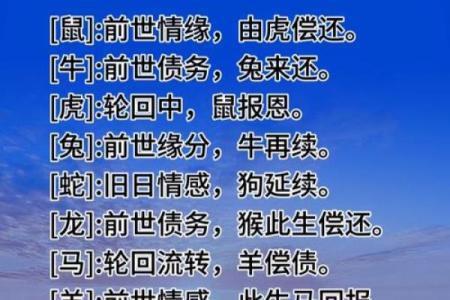 浮萍生肖：随波逐流的生肖传奇