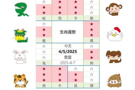 生肖牌热销排行榜：揭秘十二生肖运势秘籍