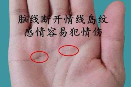 揭秘手相中的神秘信号：无名指青筋透露的健康秘密