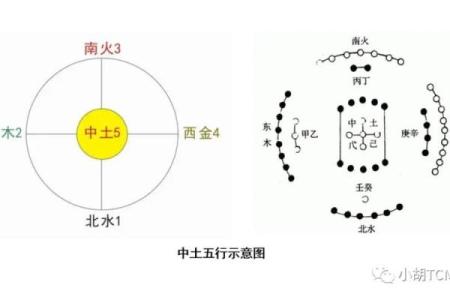 光五行分类深度解析，你知道吗？