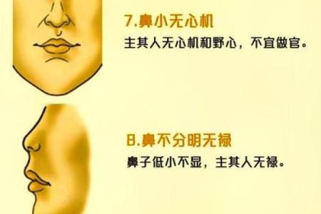 揭秘鼻子面相：财运亨通的秘密武器
