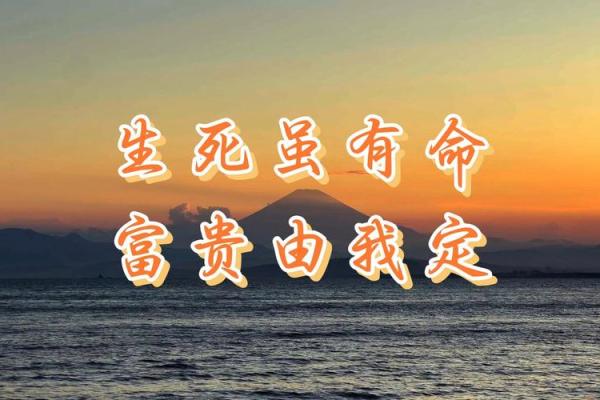 揭秘：天生富贵，金命者的独特魅力