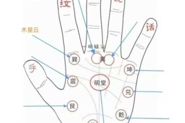手相揭秘：掌握这3个关键，助你官运亨通，事业飞黄腾达