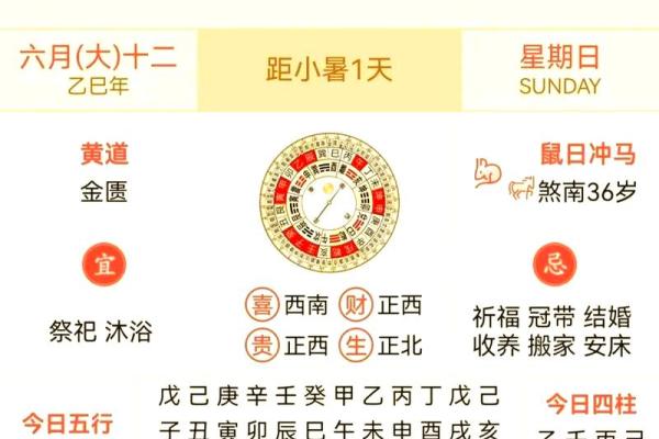 十二生肖风云录：揭秘生肖运势宝典