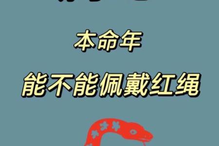 属蛇五行属什么？深度解读影响你的一生
