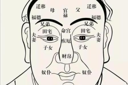 面相识人：纹面解码，揭秘面相中的神秘力量