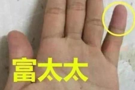 怀孕的手相揭秘：这些特征暗示你将喜得贵子