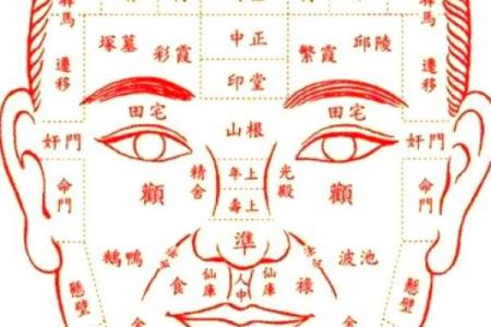 面相12宫深度揭秘：运势、性格、健康全面解析，揭秘你的命运密码