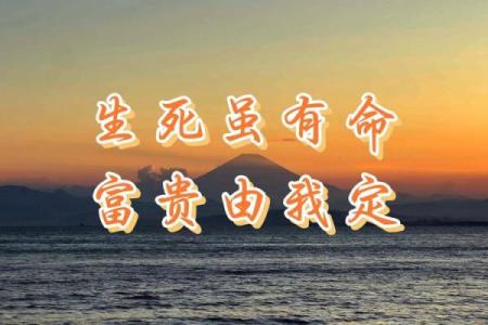 揭秘：天生富贵，金命者的独特魅力