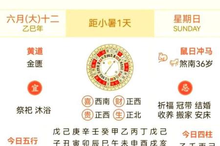 十二生肖风云录：揭秘生肖运势宝典