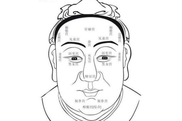 面相揭秘：薄情者的无情秘密