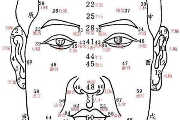 额头面相揭秘：运势、财运、健康一网打尽