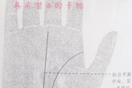 太阳线在手，健康无忧，揭秘手相中的秘密密码