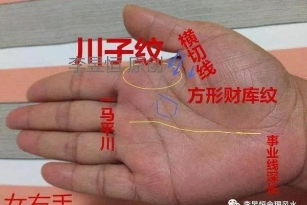 手相奥秘：一掌之间，窥探命运与人生