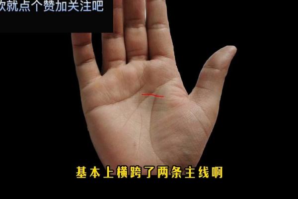 揭秘手相中的长寿密码：掌握这些特征，健康长寿不是梦