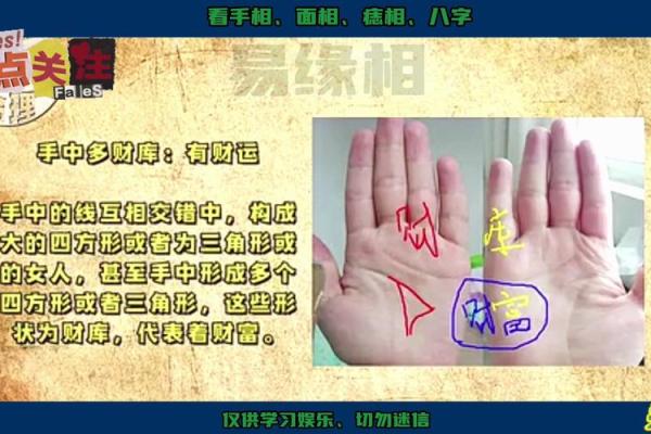 揭秘手相中的努力纹：长手相预示着惊人潜力，快来测测你的未来吧