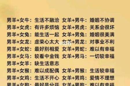 配对属相，找到你的命中佳人